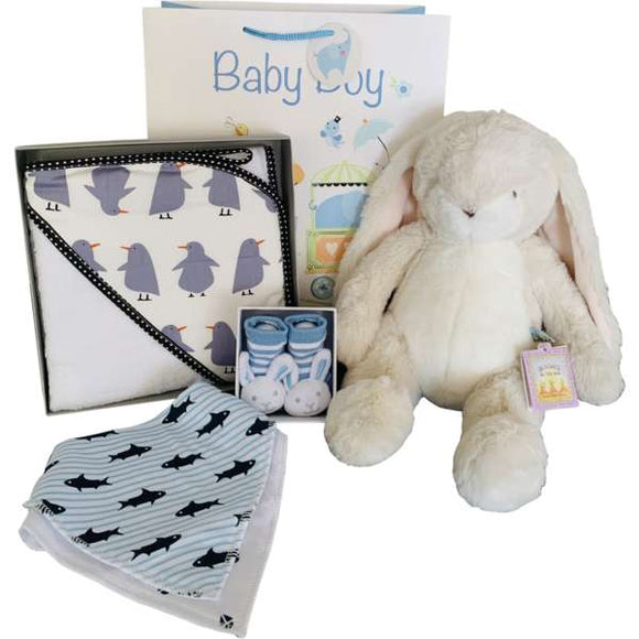 Baby Boy Gift Hamper - Gifts2remember